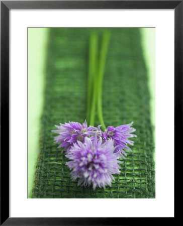 Flowering Chives by Elisabeth Colfen Pricing Limited Edition Print image