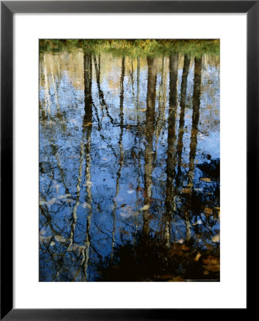 Autumn Reflections In Creek, Great Smoky Mountains National Park, North Carolina, Usa by Jerry Ginsberg Pricing Limited Edition Print image
