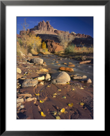 Cottonwood Leaves Along Sulphur Creek, The Castle, Capitol Reef National Park, Utah, Usa by Scott T. Smith Pricing Limited Edition Print image