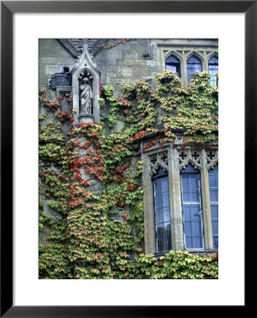 Halls Of Ivy, Oxford University, England by Bill Bachmann Pricing Limited Edition Print image