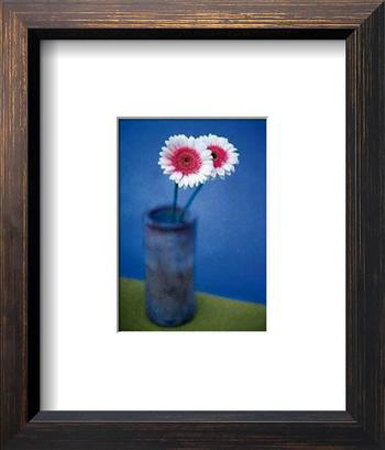 Pink Daisies by Jeff Croteau Pricing Limited Edition Print image