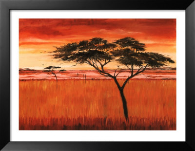 Serengeti Dawn by Emilie Gerard Pricing Limited Edition Print image