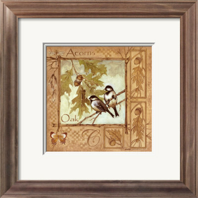 Acorns by Anita Phillips Pricing Limited Edition Print image