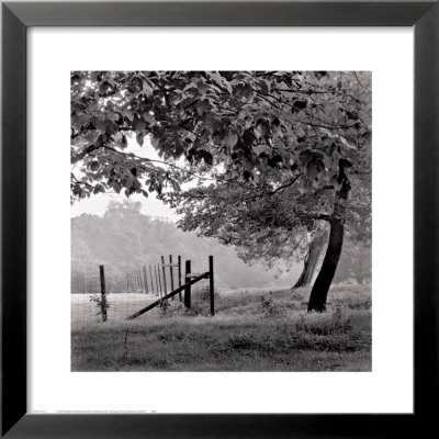 Wentworth by Doug Burgess Pricing Limited Edition Print image