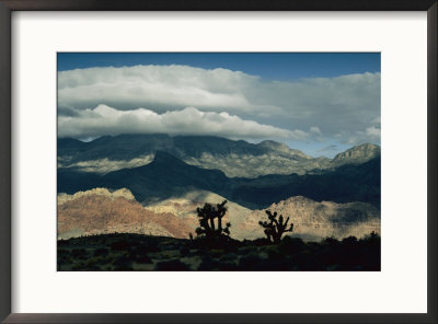 Scenic View Of Red Rock Canyon National Conservation Area by Maria Stenzel Pricing Limited Edition Print image