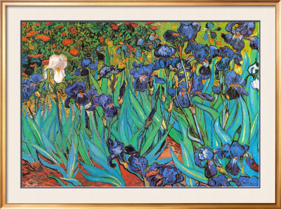 Irises (Detail) by Vincent Van Gogh Pricing Limited Edition Print image
