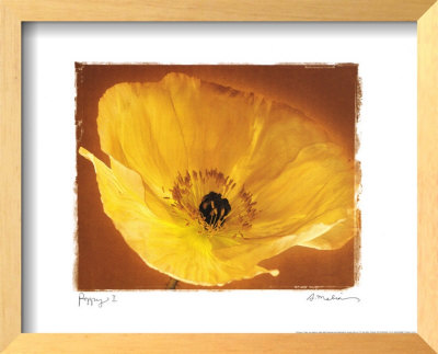Poppy I by Amy Melious Pricing Limited Edition Print image