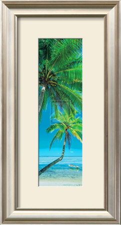 Palm Cove I by Peter Adams Pricing Limited Edition Print image