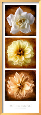 Scented Triplets by Christine Zalewski Pricing Limited Edition Print image