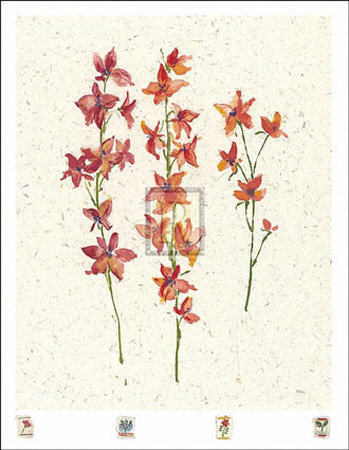 Orchids by Jenny Tsang Pricing Limited Edition Print image