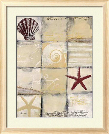 Star Shell! by Anna Flores Pricing Limited Edition Print image