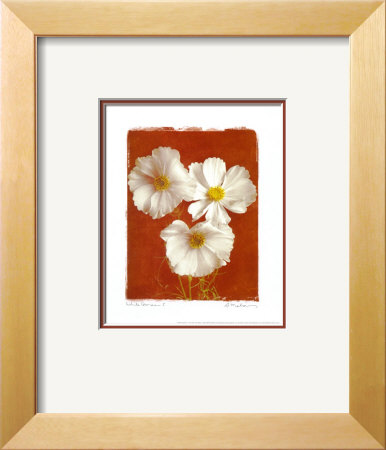 White Cosmos I by Amy Melious Pricing Limited Edition Print image
