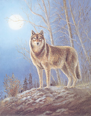 Lone Wolf by M. Caroselli Pricing Limited Edition Print image