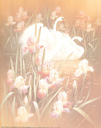 Swans With Iris by T. C. Chiu Pricing Limited Edition Print image