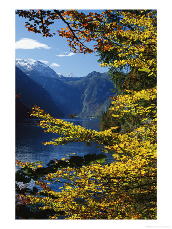 Autumn Foliage Scenic With River View, Berchtesgaden National Park by Norbert Rosing Pricing Limited Edition Print image