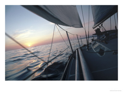 Sailboat by Steve Essig Pricing Limited Edition Print image