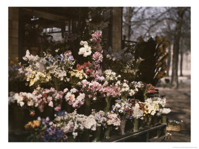 Flower Vendor In France by Maynard Owen Williams Pricing Limited Edition Print image