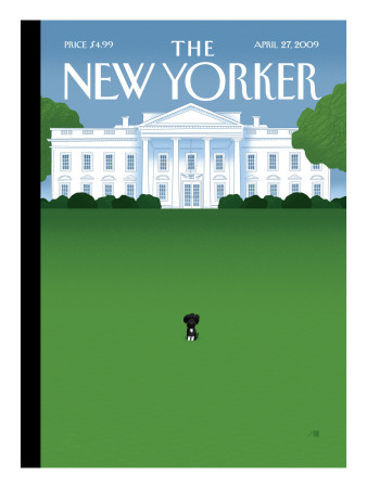 The New Yorker Cover - April 27, 2009 by Bob Staake Pricing Limited Edition Print image