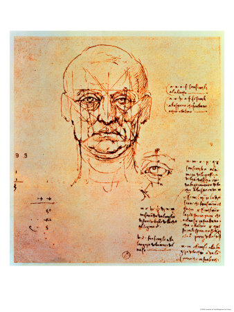 Drawing Of The Proportions Of The Head And Eye by Leonardo Da Vinci Pricing Limited Edition Print image