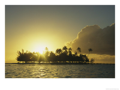 Small Silhouetted Island With Palm Trees At Twilight by Kate Thompson Pricing Limited Edition Print image
