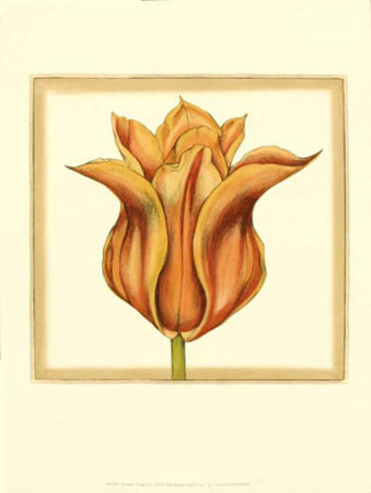 Sunset Tulip Ii by Jennifer Goldberger Pricing Limited Edition Print image