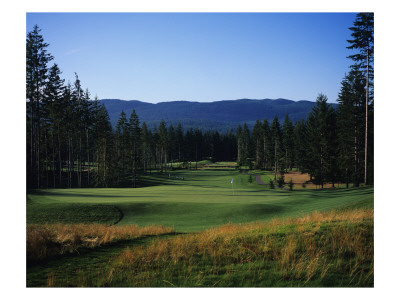 Gold Mountain Golf Club Olympic Course, Mountain View by Stephen Szurlej Pricing Limited Edition Print image