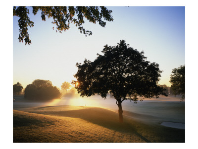 Oakland Hills Country Club by Stephen Szurlej Pricing Limited Edition Print image