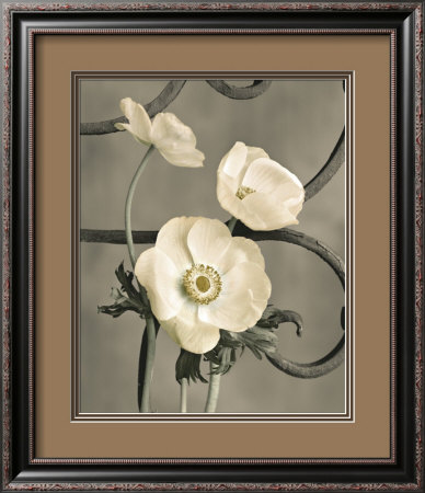 Iron Trellis Ii by Sondra Wampler Pricing Limited Edition Print image