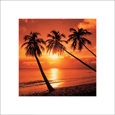 Tropical Sunset by Bob Thomas Pricing Limited Edition Print image