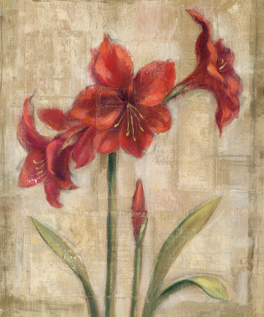 Scarlett Blossom Ii by Silvia Vassileva Pricing Limited Edition Print image