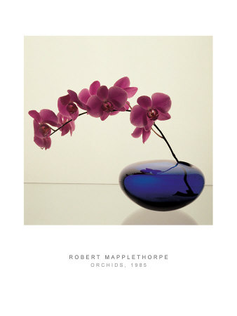 Orchids, C.1985 by Robert Mapplethorpe Pricing Limited Edition Print image