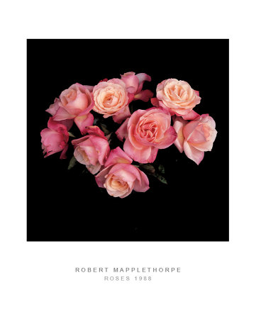 Roses, C.1988 by Robert Mapplethorpe Pricing Limited Edition Print image