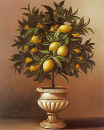Potted Lemon Tree by Welby Pricing Limited Edition Print image