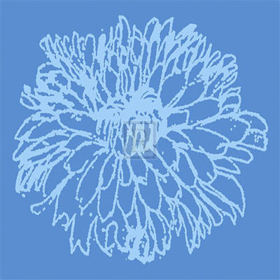 Chrysanthemum Bloom Ii by Alice Buckingham Pricing Limited Edition Print image