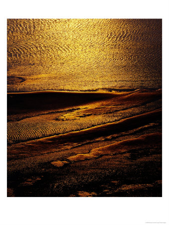 Sunset Detail At Eagle Bluff, Shark Bay, Australia by Richard I'anson Pricing Limited Edition Print image