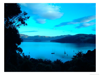 Sailboats At Anchor, Akaroa Peninsula, New Zealand by William Sutton Pricing Limited Edition Print image