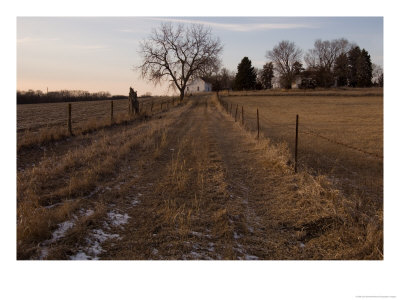 A Unpaved Path Leads Up To Steven's Creek Farm In Walton, Nebraska by Joel Sartore Pricing Limited Edition Print image
