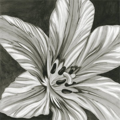 Black And White Flower by Marie Perpinan Pricing Limited Edition Print image