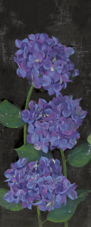 Hydrangeas, 2005 by Amiryani Pricing Limited Edition Print image