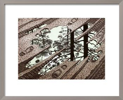 Puddle by M. C. Escher Pricing Limited Edition Print image