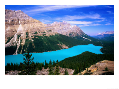 Overhead Of Peyto Lake And Mountains, Summer, Banff National Park, Canada by David Tomlinson Pricing Limited Edition Print image
