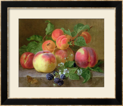 Still Life Of Peaches by Henriette Ronner-Knip Pricing Limited Edition Print image