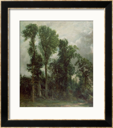 Trees At Hampstead by John Constable Pricing Limited Edition Print image
