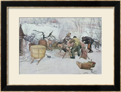 Killing The Pig, Illustration For My Little Farm, Published In Sweden, 1904 by Carl Larsson Pricing Limited Edition Print image