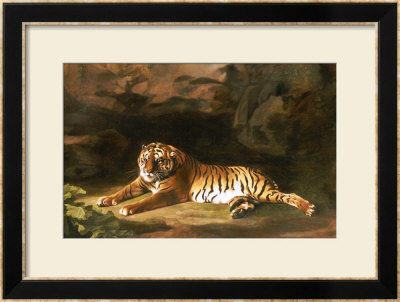 Portrait Of The Royal Tiger, Circa 1770 by George Stubbs Pricing Limited Edition Print image