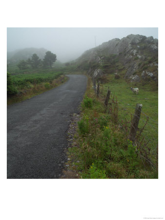 Ireland, Fog On Road Of Irish Countryside by Keith Levit Pricing Limited Edition Print image