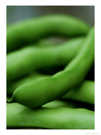 Close-Up Of Green Broad Beans by James Guilliam Pricing Limited Edition Print image