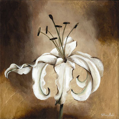 White Lily I by Tiffany Budd Pricing Limited Edition Print image