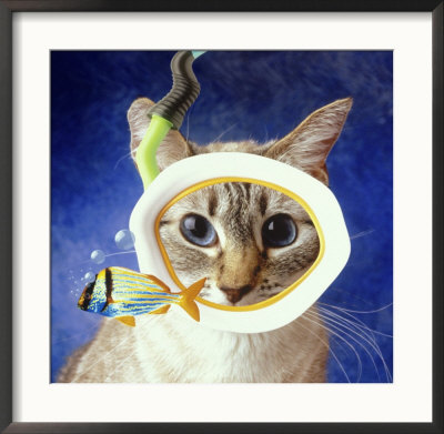 Cat Snorkeling To Observe A Fish by John T. Wong Pricing Limited Edition Print image