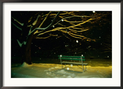 Snow Falls On A Park Bench At Night by Raymond Gehman Pricing Limited Edition Print image